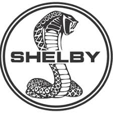 Система очистки ОГ для SHELBY: купить по лучшим ценам