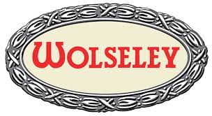 Фонарь освещения номерного знака / комплектующие для WOLSELEY: купить по лучшим ценам